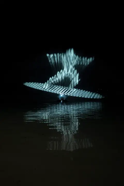 Water World