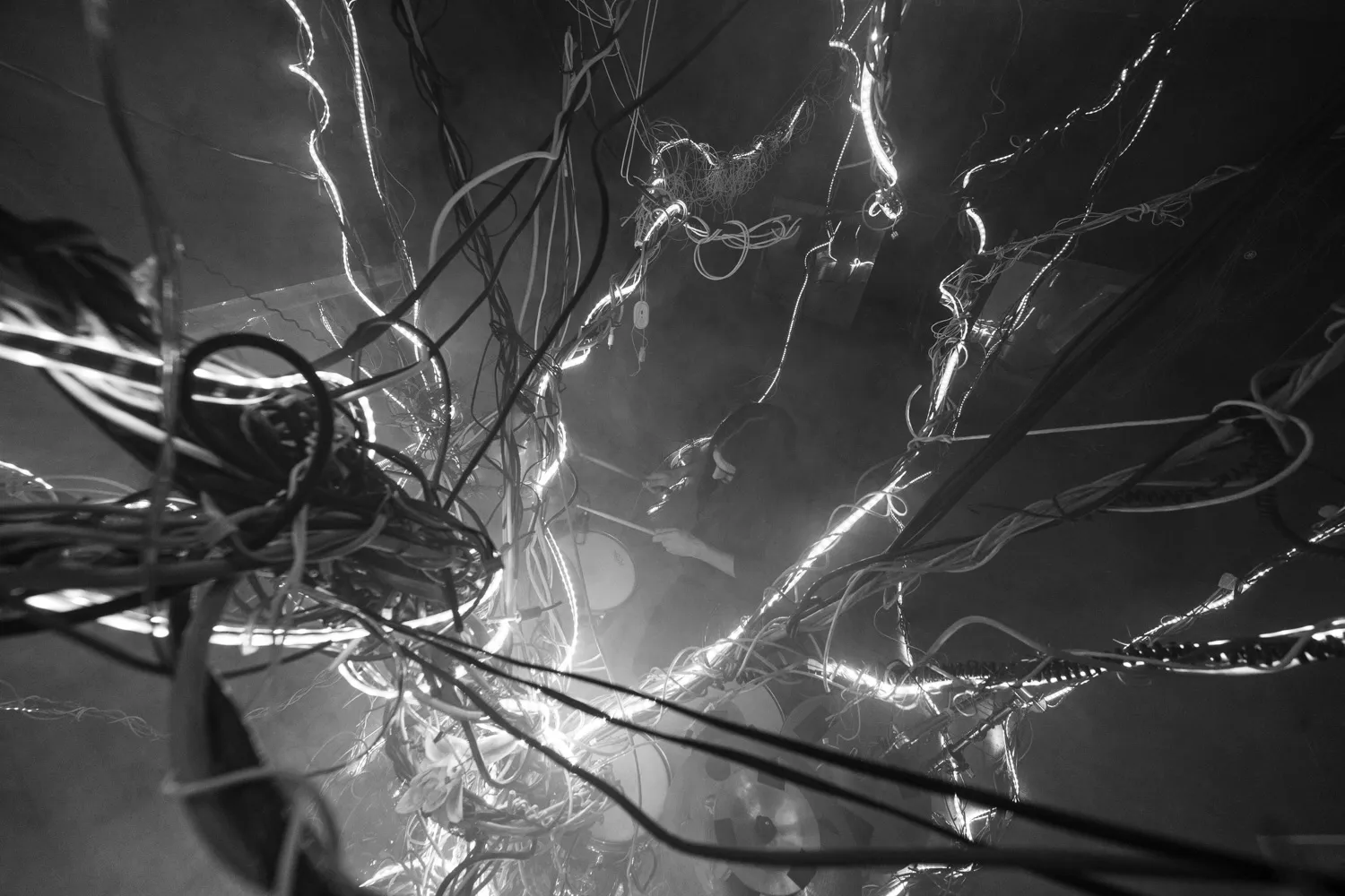 Arbracable, by Structurals, for Folnui, 2024 (installation view 15)
