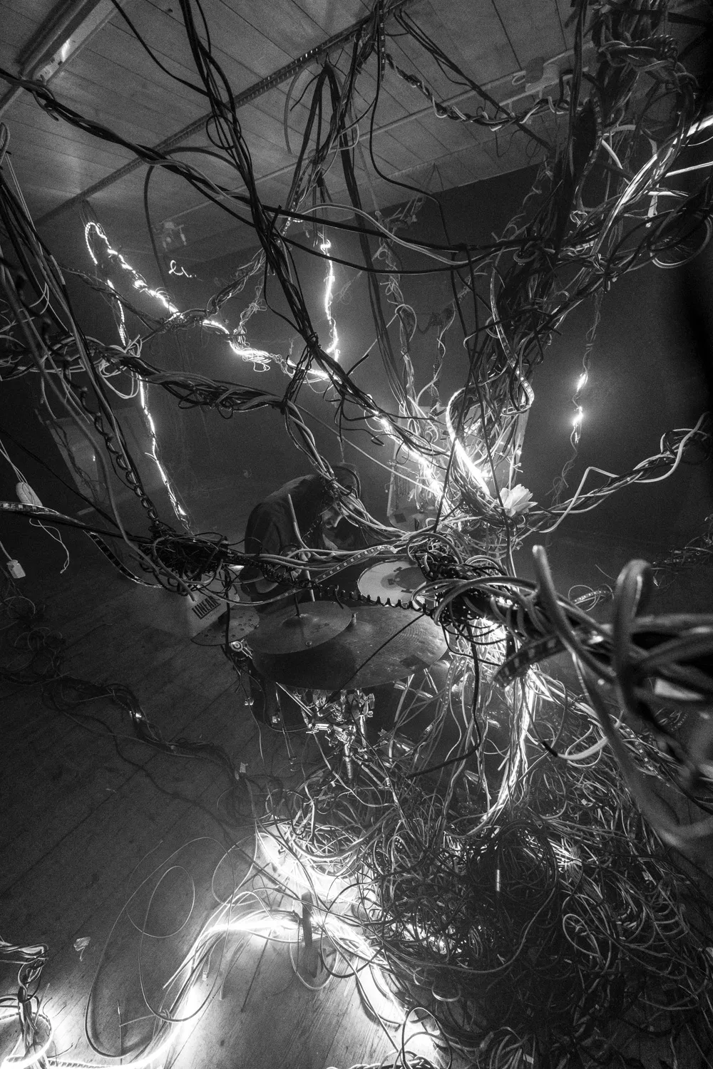 Arbracable, by Structurals, for Folnui, 2024 (installation view 16)