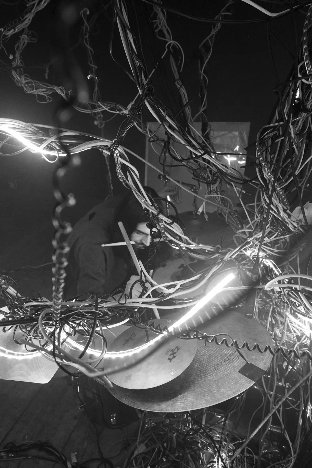Arbracable, by Structurals, for Folnui, 2024 (installation view 17)