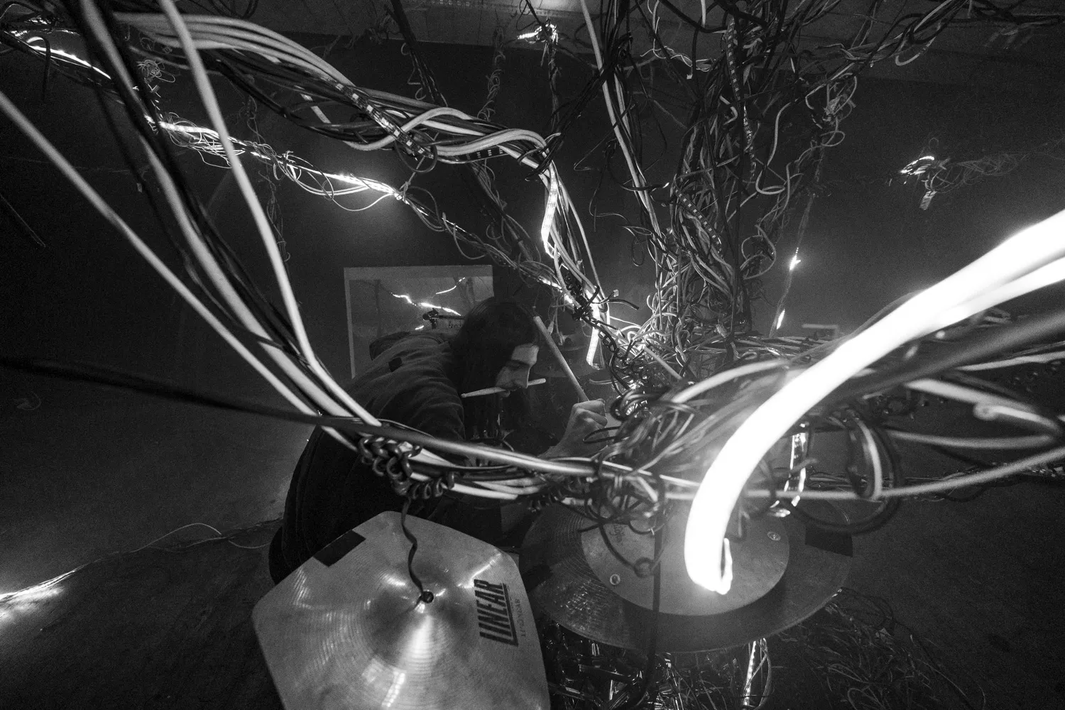 Arbracable, by Structurals, for Folnui, 2024 (installation view 18)