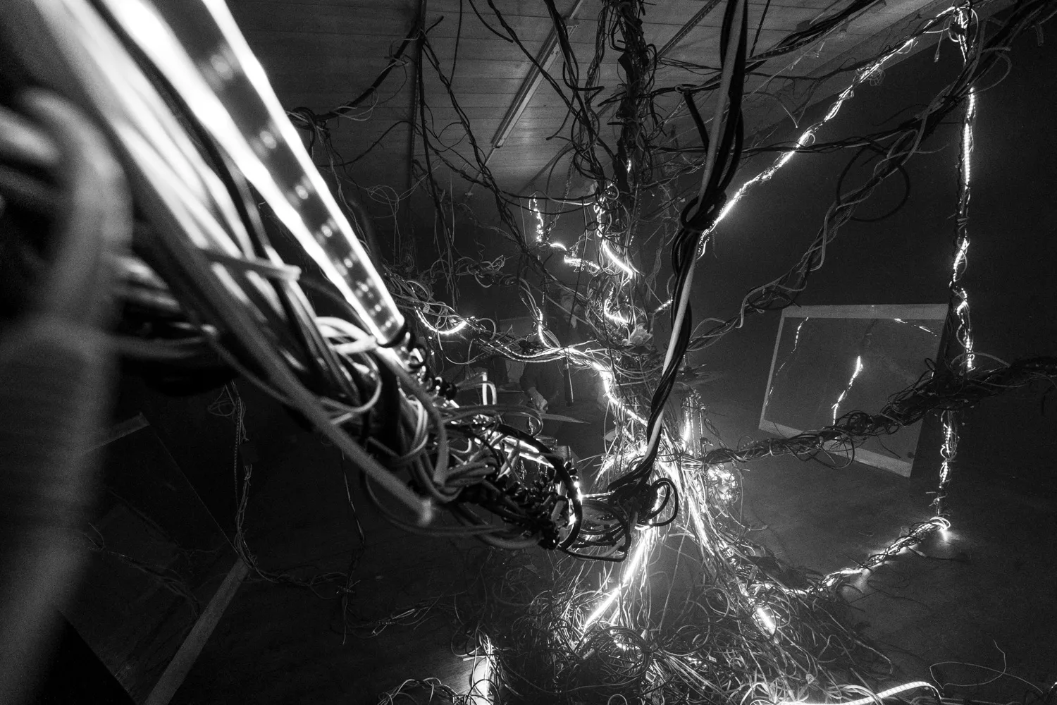 Arbracable, by Structurals, for Folnui, 2024 (installation view 22)