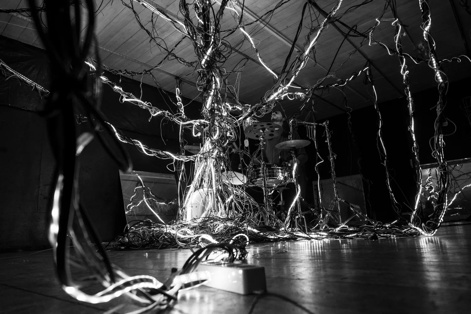 Arbracable, by Structurals, for Folnui, 2024 (installation view 7)