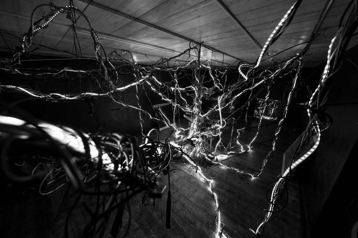 Arbracable, by Structurals, for Folnui, 2024 (installation view 8)
