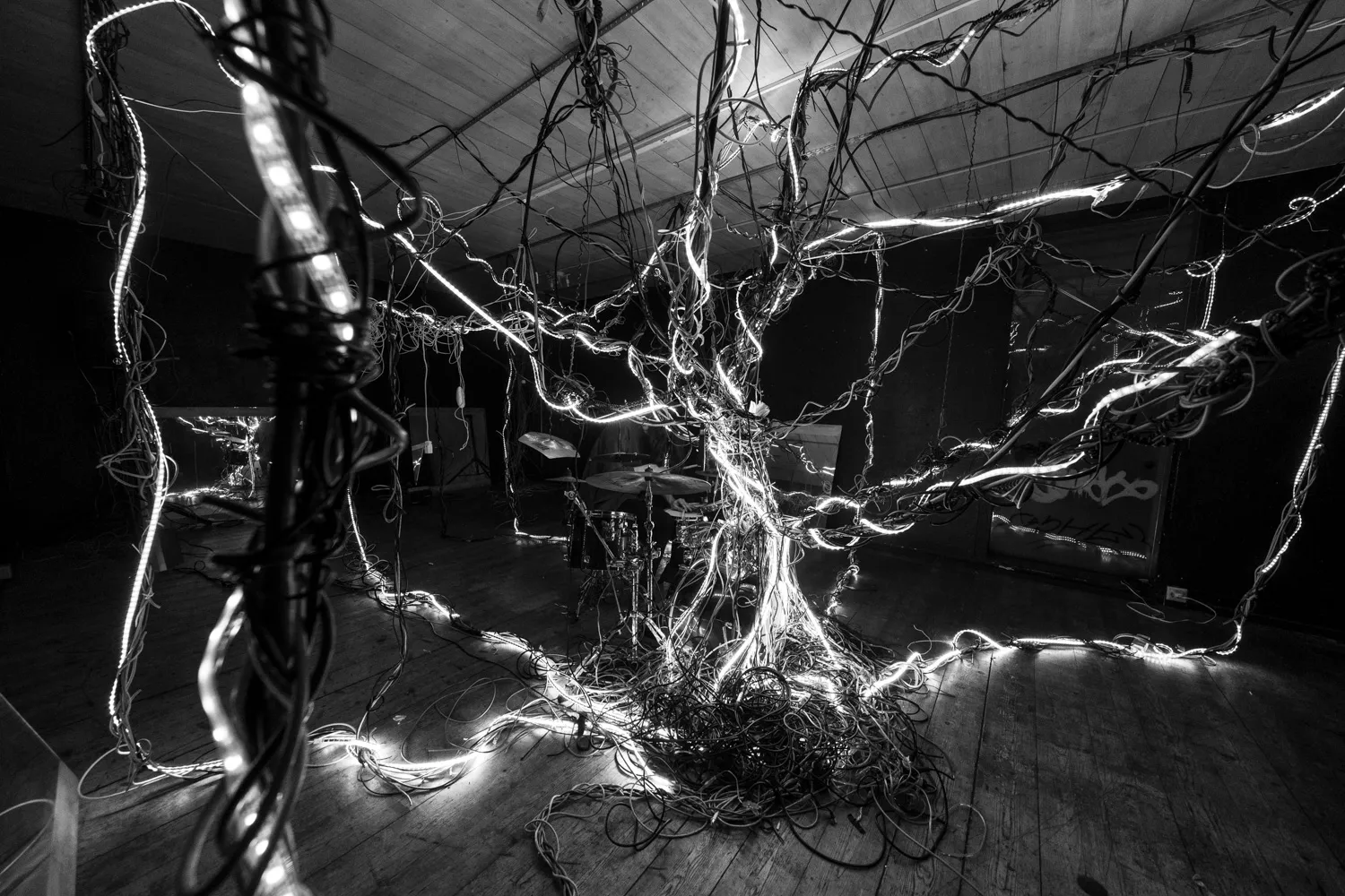 Arbracable, by Structurals, for Folnui, 2024 (installation view 9)