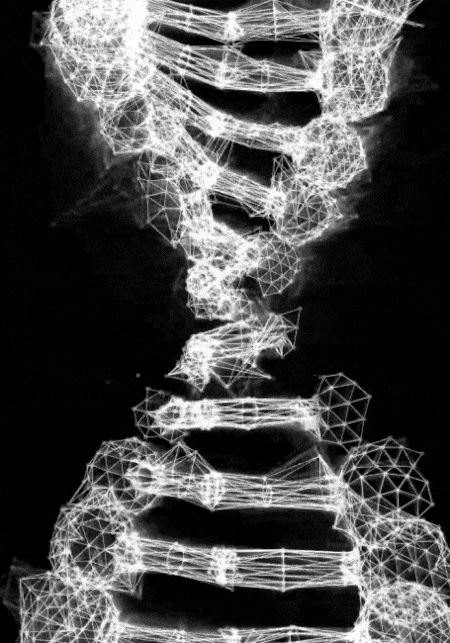 Generative visuals, by Structurals, for Various, 2023 (installation view 6)