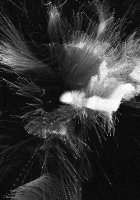 Generative visuals, by Structurals, for Various, 2023 (installation view 14)
