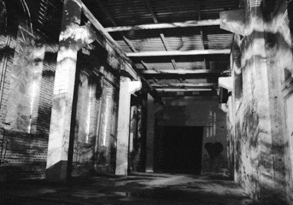 Living Factory, by Structurals, for IBug Festival, 2023 (installation view 2)