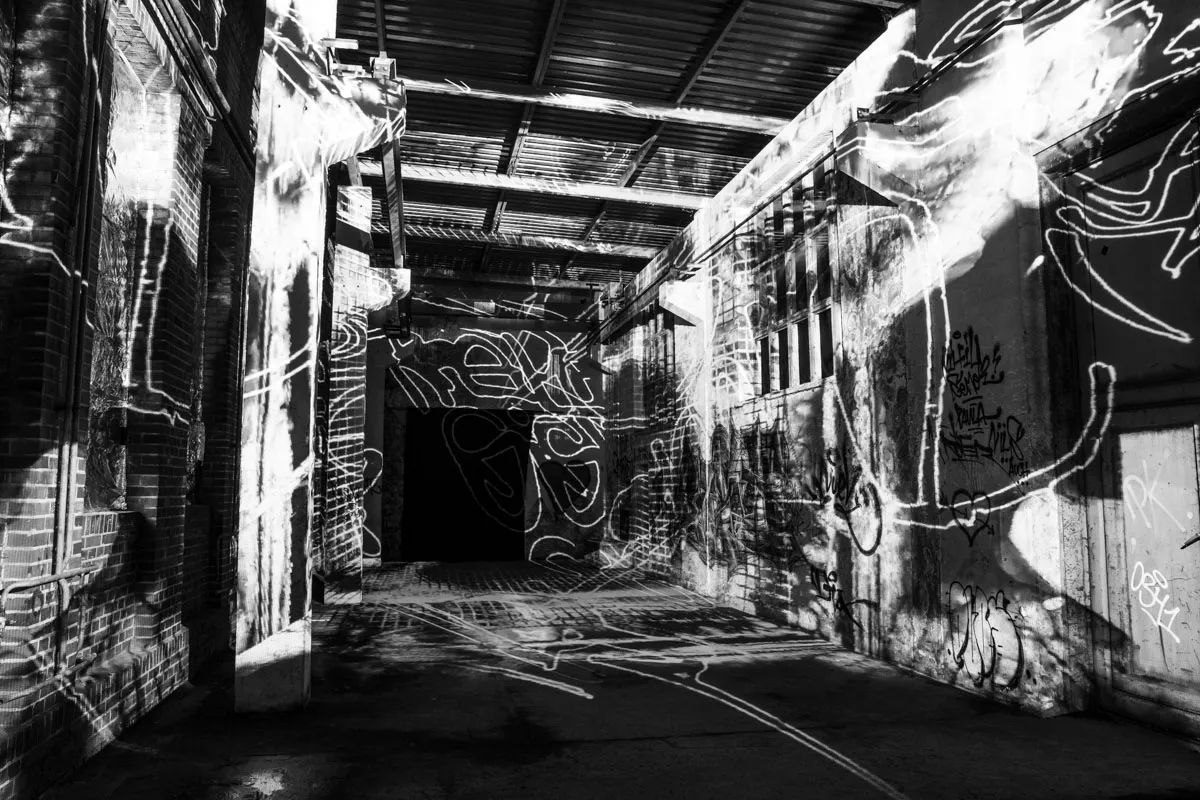 Living Factory, by Structurals, for IBug Festival, 2023 (installation view 5)
