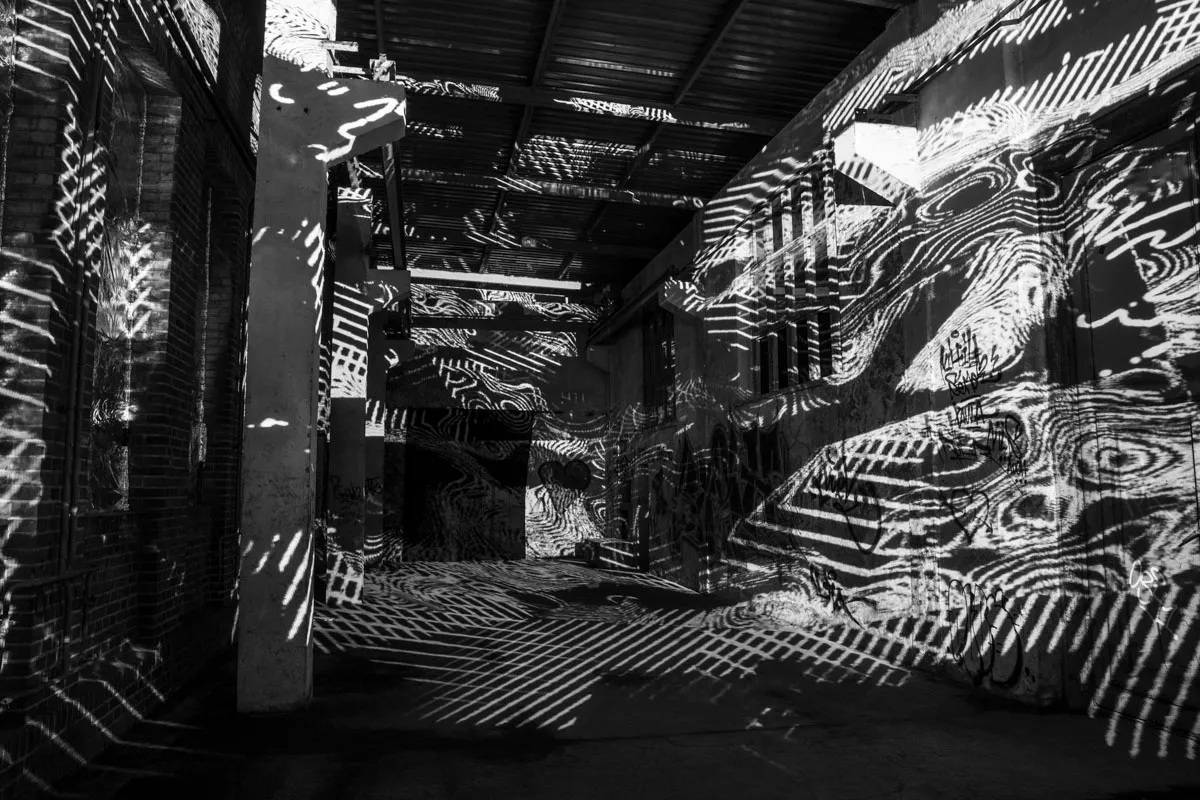 Living Factory, by Structurals, for IBug Festival, 2023 (installation view 11)