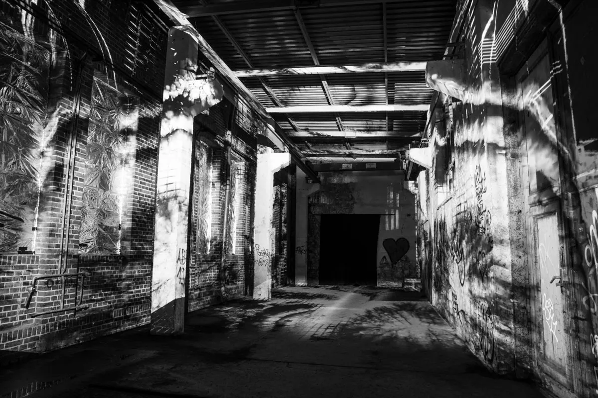 Living Factory, by Structurals, for IBug Festival, 2023 (installation view 1)