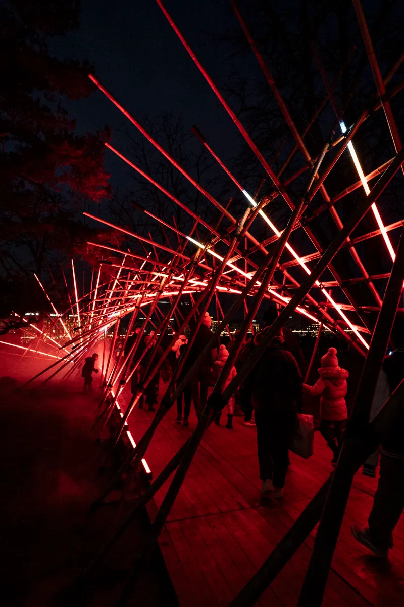 Morphosis, by Structurals, for Geneva Lux Festival, 2025 (installation view 15)