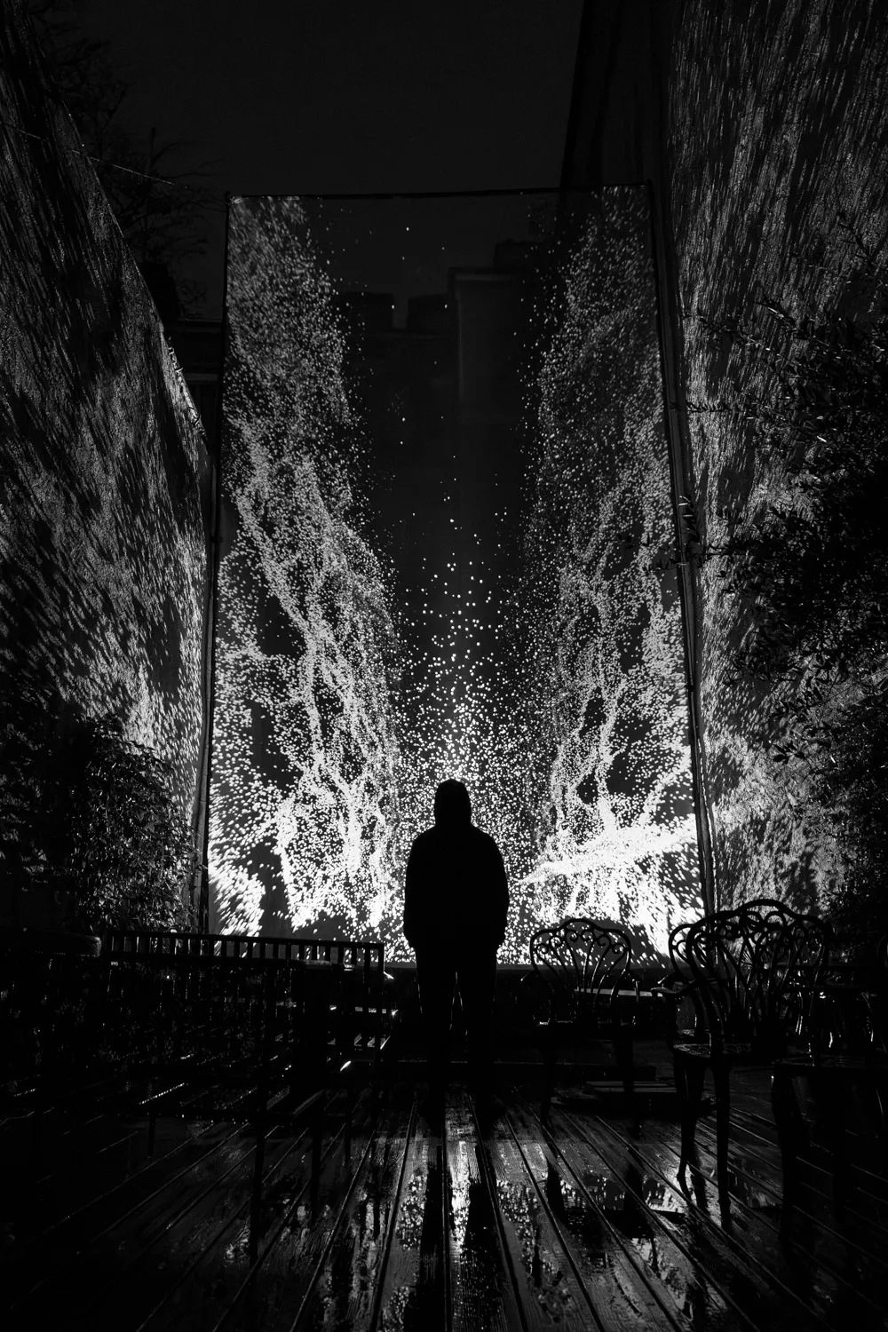 Oleaceae, by Structurals, for MurMur, 2025 (installation view 11)