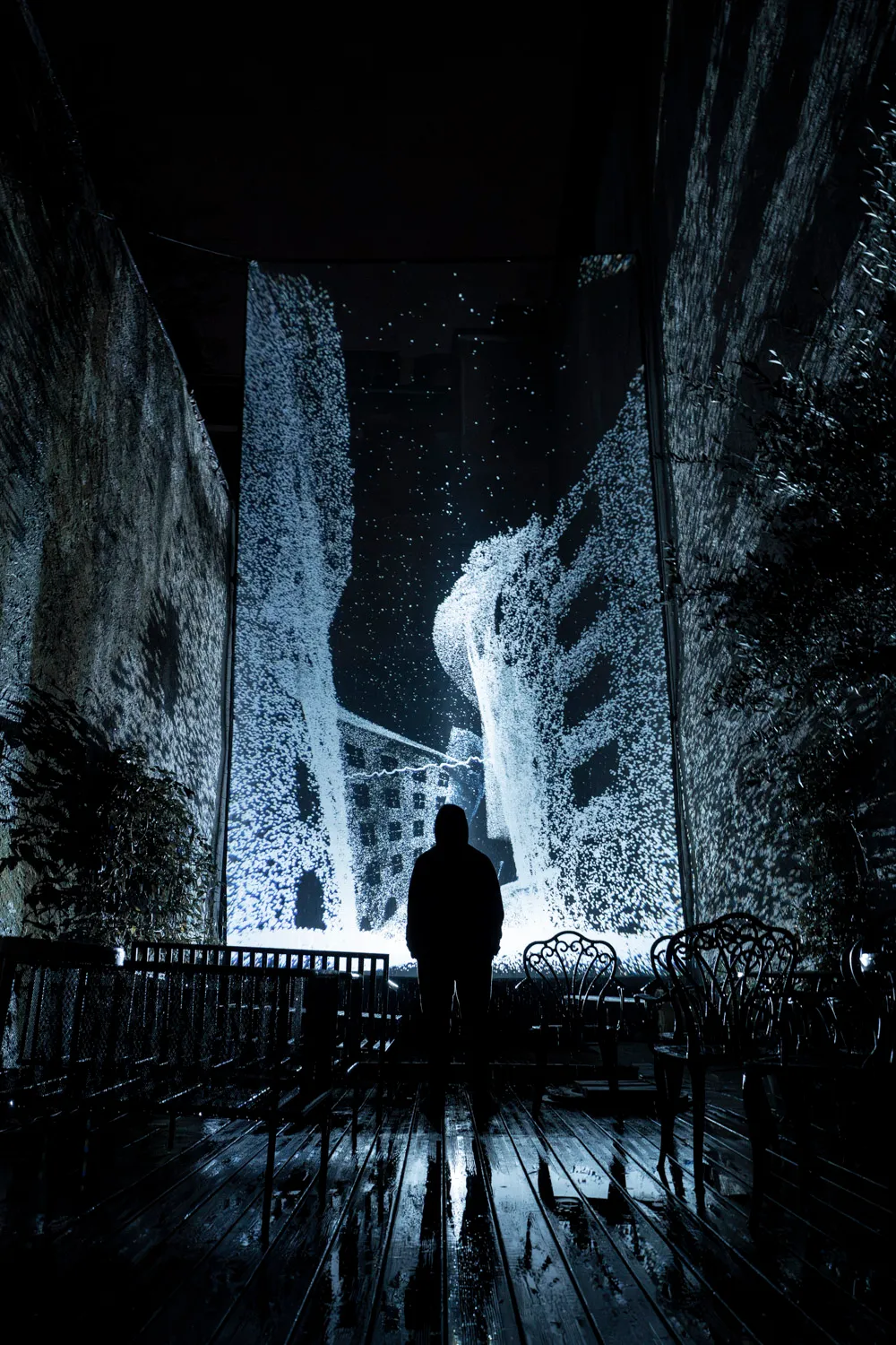 Oleaceae, by Structurals, for MurMur, 2025 (installation view 13)