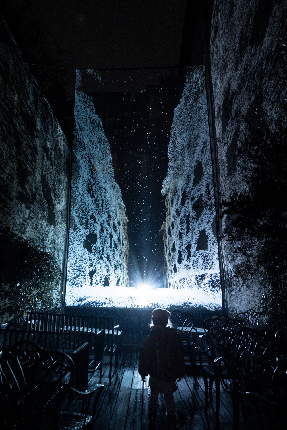 Oleaceae, by Structurals, for MurMur, 2025 (installation view 15)