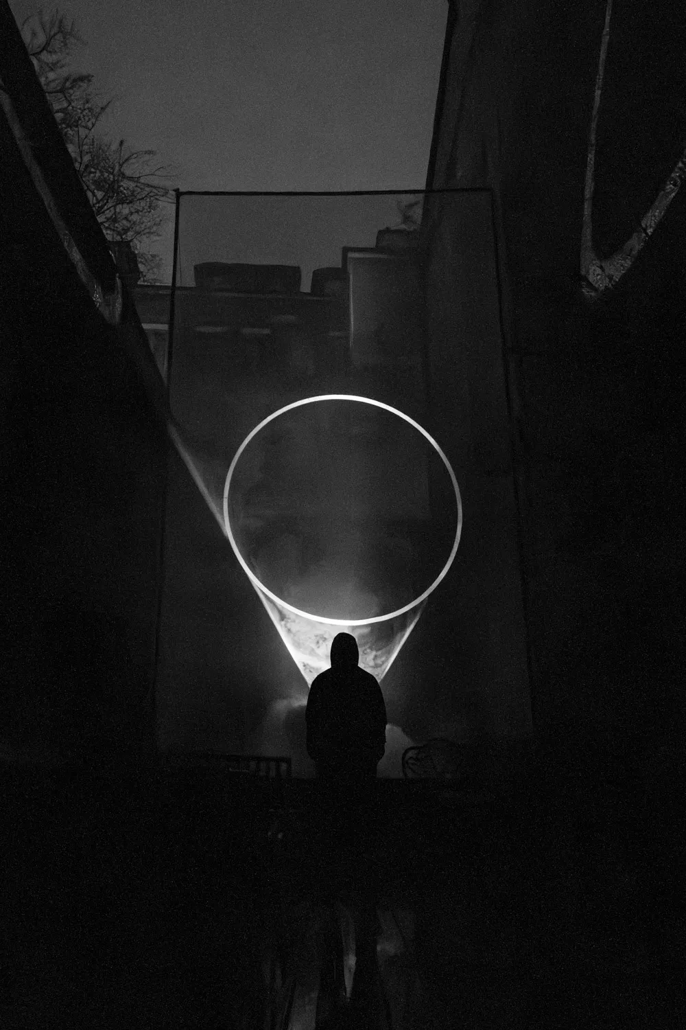 Oleaceae, by Structurals, for MurMur, 2025 (installation view 23)