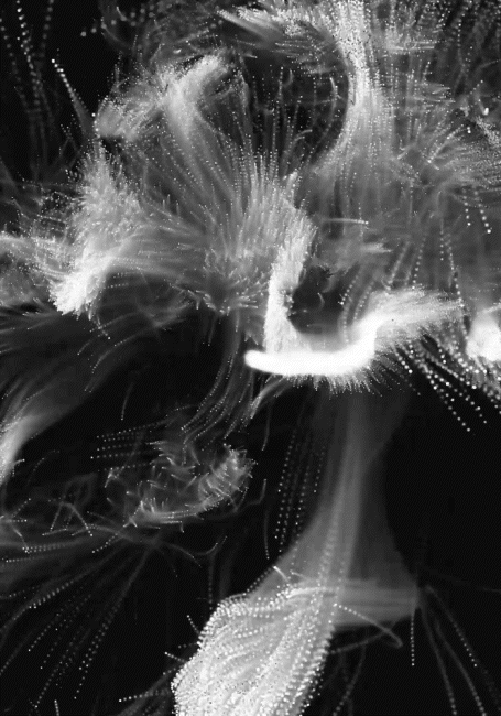 Generative visuals, by Structurals, for Various, 2023 (installation view 13)